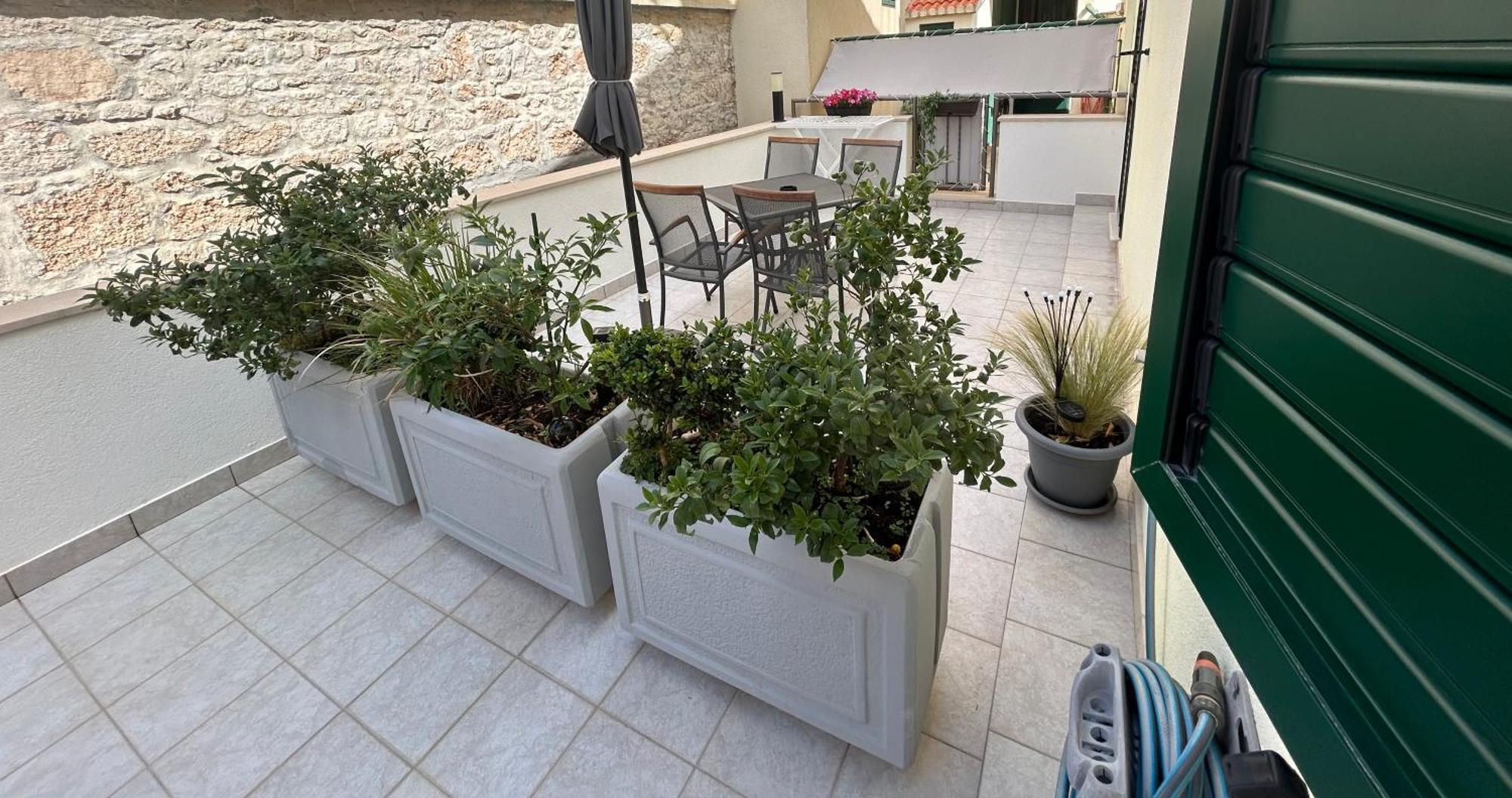 Apartmán Center Nikolina *
